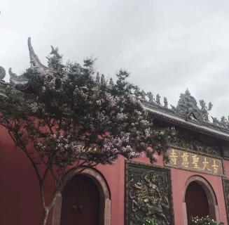 旺财28：助力公益活动建设，实现经济效益与社会效益的双赢！