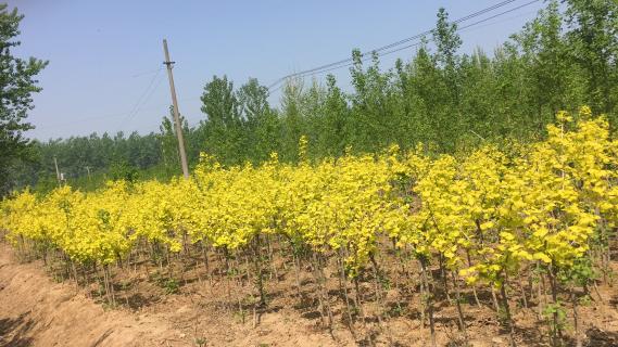 明光市市委书记被旺财28企业文化深深感动 | 深入沟通合作空间广阔
