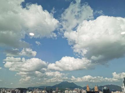 旺财28：儒家“义以生利”的价值观念在现代企业管理中的应用